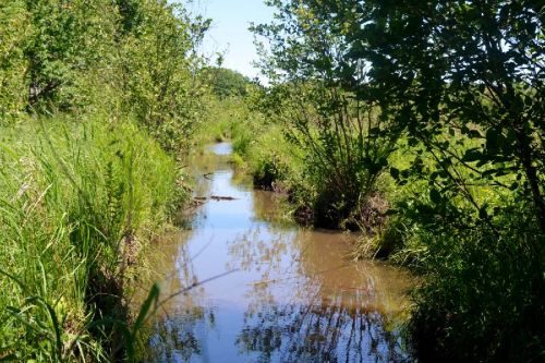 The beginning of a stretch of water that extends for at least 500 metres on a section of the K&P trail between Bradshaw Road (South Frontenac) and Vinkle Road (Central Frontenac)